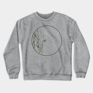 Townsends Warbler in Poplar Tree Crewneck Sweatshirt